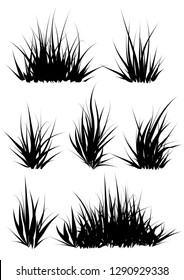 Set of black silhouette of grass on white background. Vector illustration.