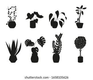 Conjunto de silueta negra de plantas de casa en macetas. Se puede utilizar en publicidad o diseño de paquetes. Ilustración vectorial aislada en fondo blanco.