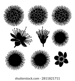 A set of black silhouette icons featuring various floral and spiky plant shapes, including flowers, seed heads, and botanical elements.