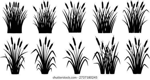 A set of black silhouette illustrations of cattail reeds growing in water, offering a clean and natural depiction of wetland flora.