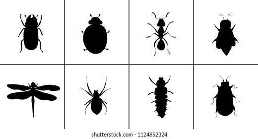 Set of black silhouette insects. Vector isolated illustration