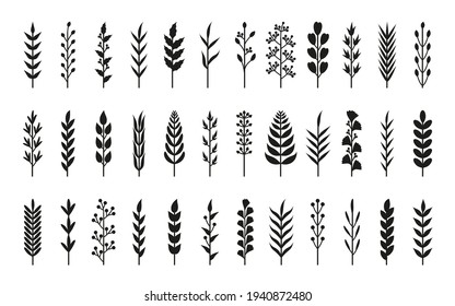 Set of black silhouette laurels branches. Hand drawn floral plant element of leaf, branch, berry. Floral object for vintage brush pen, rustic frame, border, flower ornament divider Vector illustration