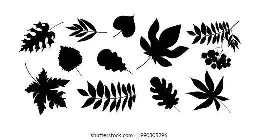 A set of black silhouette leaves - maple, birch, ash, mountain ash, chestnut, poplar, oak. Isolated on a white background. Stock vector illustration.