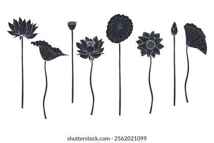 Set of Black silhouette of lotus flowers and leaves isolated on white background. Hand drawn floral linocut design