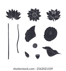 Set of Black silhouette of lotus flowers and leaves isolated on white background. Hand drawn floral linocut design