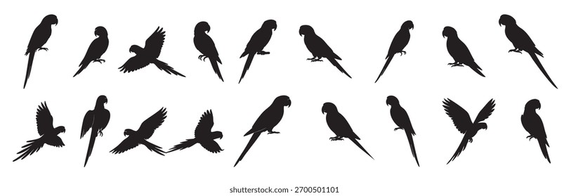 Set of Black silhouette of multiple macaw parrots in various poses, isolated on white background. concept of tropical bird, wildlife, nature, aviary, exotic pet, graphic art, icon design.