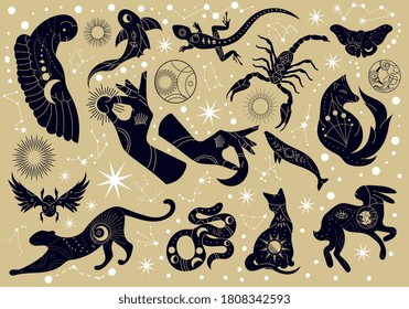 Set of black silhouette mystery or mythological animals with decorative patterns on a star studded background, colored vector illustration. Creative drawing