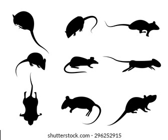 Set of black silhouette rat icon, isolated vector on white background. Back, front and side view.