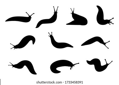 Set of black silhouette slug cartoon animal design flat vector illustration isolated on white background