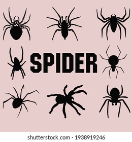 Set of black silhouette spider icon isolated on white background. Top,side and front view