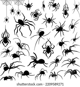 Set of black silhouette spider icon isolated on white background

