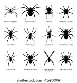 Set of black silhouette spider icon isolated on white background.