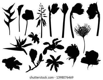 Set black silhouette tropical leaves and flowers. Monochrome jungle exotic leaf palm, royal fern, banana leaf. Illustration for summer tropical paradise advertising design vacation. 