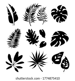 Set of Black silhouette of tropical plants. Vector illustration.