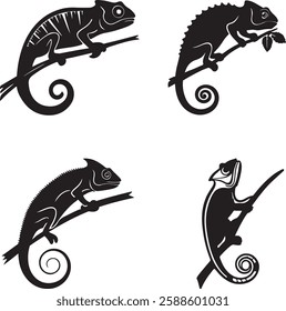 Set Of Black Silhouette Vector Chameleon ,Set of black silhouettes chameleons sitting on branches