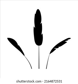 Set of black silhouettes of banana branches. Tropical leaves. Simple vector illustration. 