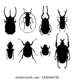 set of black silhouettes beetles 