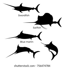 Set of black silhouettes of billfish- swordfish, sailfish and blue marlin isolated on whites.
