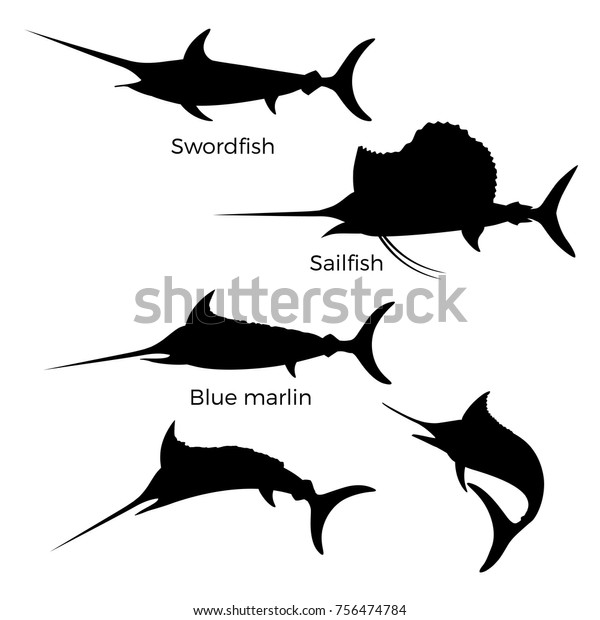 Set of black silhouettes of\
billfish- swordfish, sailfish and blue marlin isolated on\
whites.