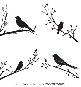 Set of black silhouettes of birds on branches. Vector illustration.