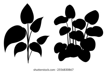 Set of black silhouettes bold leaves and twigs. Hand drawn vector eucalyptus foliage, herbs, tree branches. Hand drawn botanical elements isolated on white background