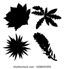 Set of black silhouettes of cactus, agave, aloe, and prickly pear. Cacti set. Vector.