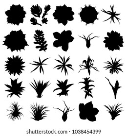 Set of black silhouettes of cactus, agave, aloe, and prickly pear. Cacti set. Vector.