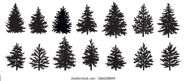 Set of black silhouettes of christmas trees. Fir tree. Pine tree. Spruce tree. Vector illustration.