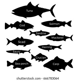 Set of black silhouettes of commercial fish species isolated on whites.