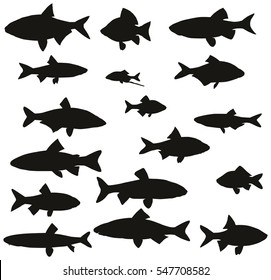 Set of black silhouettes of common river fish. Vector illustration.