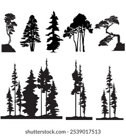Conjunto de siluetas negras de árboles de coníferas sobre un fondo blanco. Ilustración vectorial para crear ilustraciones en el estilo de la naturaleza y la protección del medio ambiente entre
