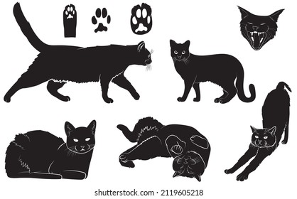 Set of black silhouettes of cute realistic kittens or cats standing, walking sitting or walking vector Illustrations on a white background.