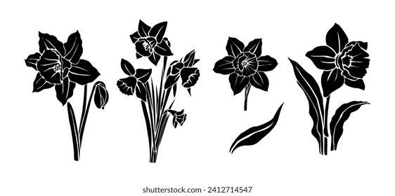 Set of black silhouettes of Daffodil flowers.