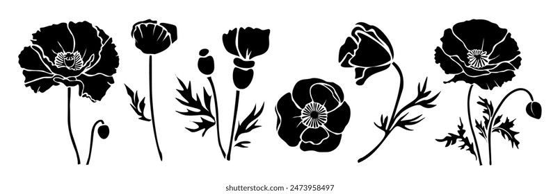 Set of black silhouettes of decorative fresh blossoming poppy flowers with steam and leaves. Hand drawn outline flower icon. Vector monochrome hand drawn illustrations isolated on white background.