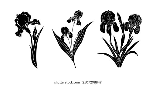 Set of black silhouettes of decorative fresh blossoming iris flowers with steam and leaves. Hand drawn outline flower icon. Vector monochrome illustrations isolated on white background.