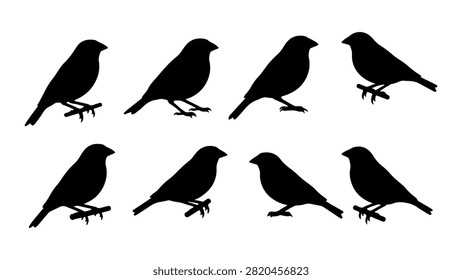 A set of black silhouettes depicting different bird postures and stances, showcasing diversity in bird shapes and behaviors.