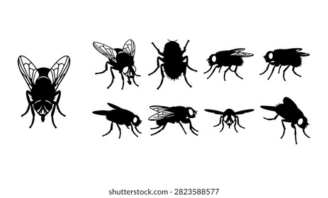 A set of black silhouettes depicting different species of bees and flies, suitable for educational, scientific, or design projects.