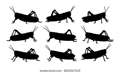A set of black silhouettes depicting different poses of crickets, showcasing their distinctive body parts and leg structures in a simple style.