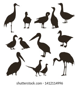 Set Black Silhouettes Different Birds Vector Stock Vector (Royalty Free ...