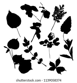 Set of black silhouettes of different leaves. Decorative floral elements. Verctor illustration.