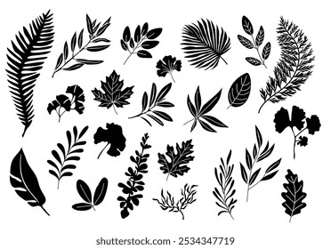 Conjunto de silhuetas pretas de diferentes folhas e ramos. Ilustrações em contorno preto vetorial isoladas no fundo branco. Elementos verdes da moda para logotipo, tatuagem, convites, adesivos.