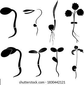 Set of black silhouettes of different plant sprouts in flat style isolated on white background