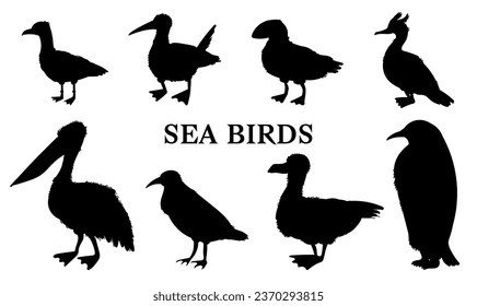 Set of black silhouettes of different sea birds flat style, vector illustration isolated on white background. Decorative design elements collection, nature and wildlife