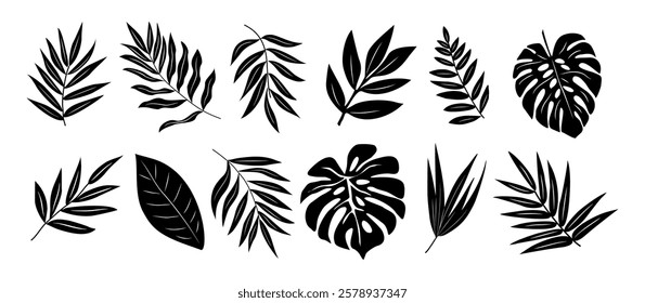 Set of black silhouettes of different tropical leaves, monstera, eucalyptus, palm leaves. Vector illustrations isolated on white background