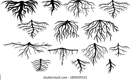 Set of black silhouettes of different types of root systems isolated on white background