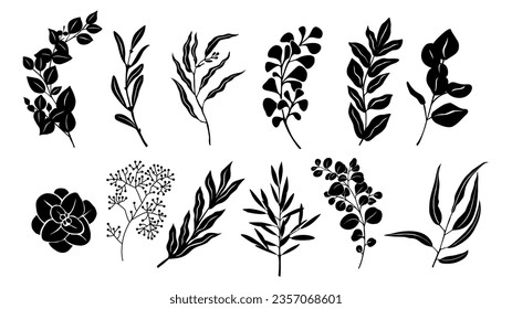 Set of black silhouettes of eucalyptus leaves and branches. Vector Black outline illustrations isolated on white background. Trendy greenery elements for logo, tattoo, invitations, stickers