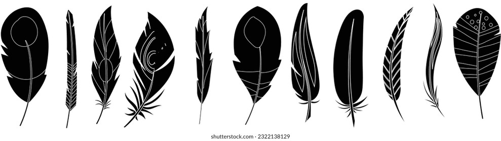 Set of black silhouettes of feathers on white background, vector illustration