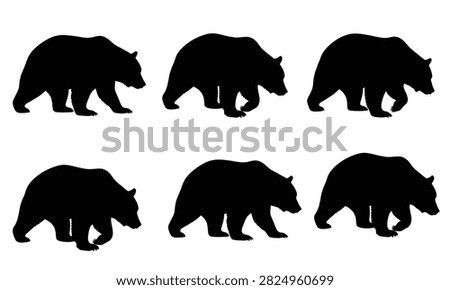 Set of black silhouettes featuring walking bears in different poses isolated on a white background, useful for wildlife design projects, nature graphics, and animal illustrations.