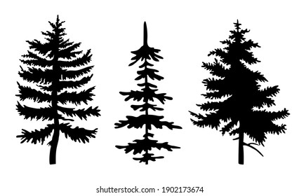 Set of black silhouettes of fir-tree. Three different spruces. Simple tree icon. Nature concept. Black trees isolated at white background. Decorative element. Plant shadow. Vector black illustration