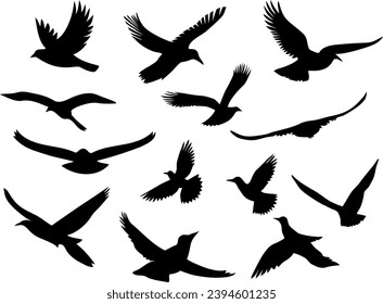 Set of black silhouettes of flying birds. Vector illustration isolated on white background.